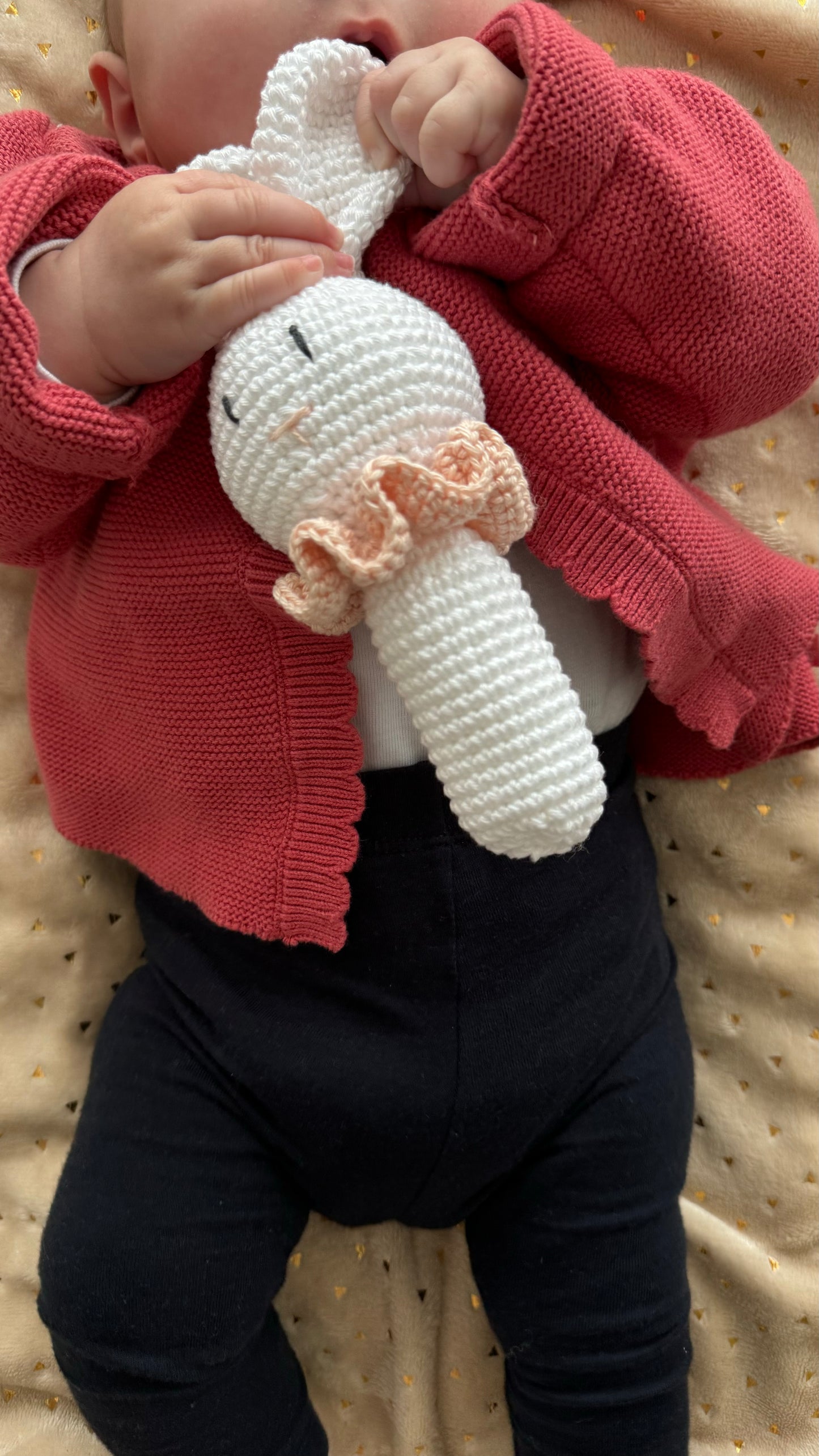 Hochet animaux au crochet